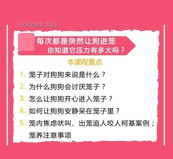 幸运食客中奖VS常规消费体验：男子吃面中特等奖66666元案例分析